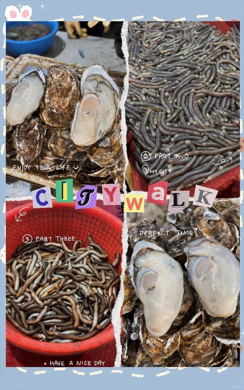 湛江龍魚批發市場地址電話