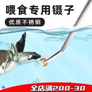 給龍魚做手術需要準備什么東西：給龍魚做手術需要準備什么