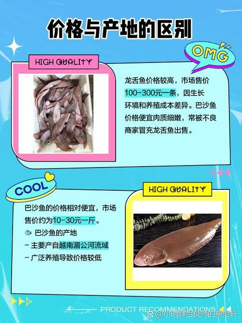 海里面的龍魚