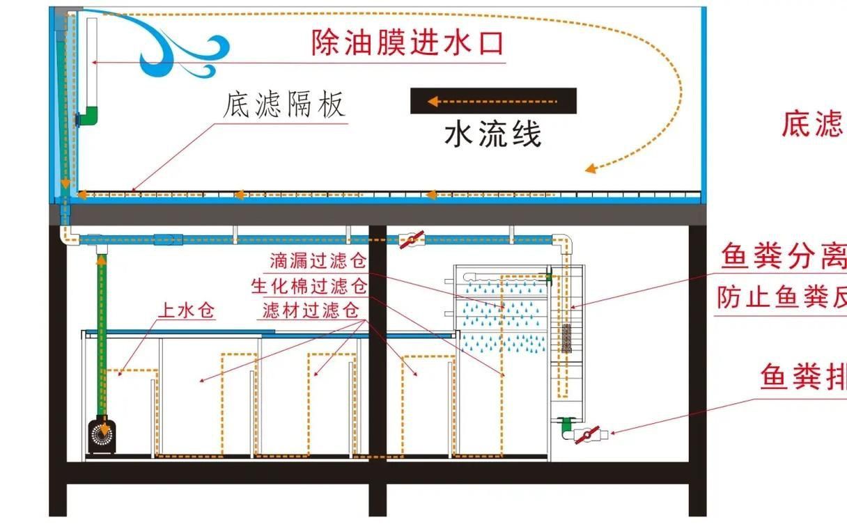 可麗愛魚缸底濾結構圖