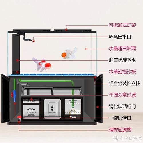 可麗愛魚缸底濾結構圖