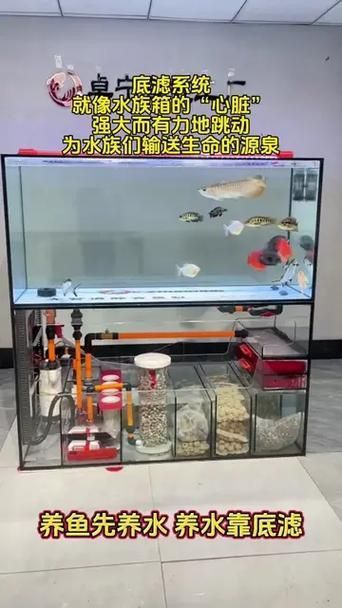 可麗愛魚缸底濾結構圖
