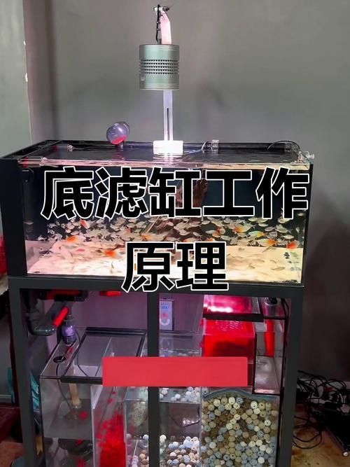 可麗愛魚缸底濾結構圖