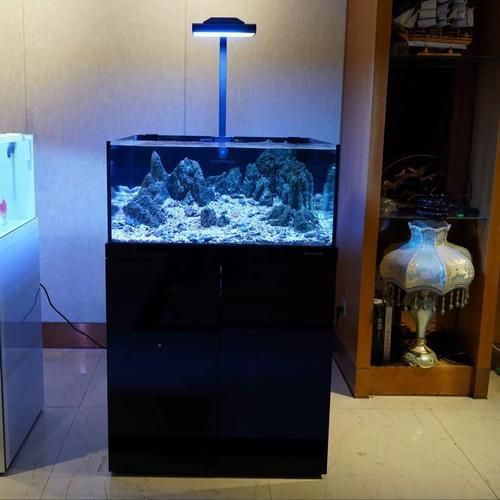 可麗愛魚缸底濾結構圖