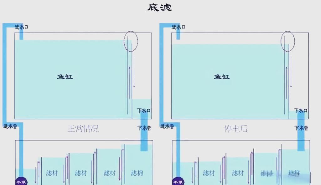 可麗愛魚缸底濾結構圖