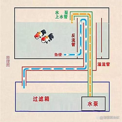 可麗愛魚缸底濾結構圖