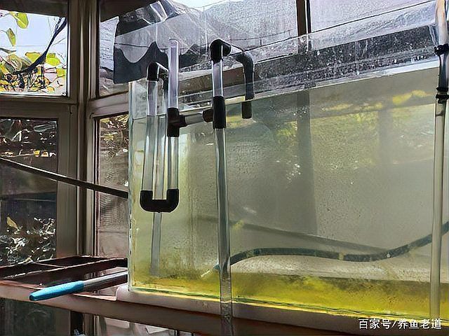 可麗愛魚缸底濾結構圖