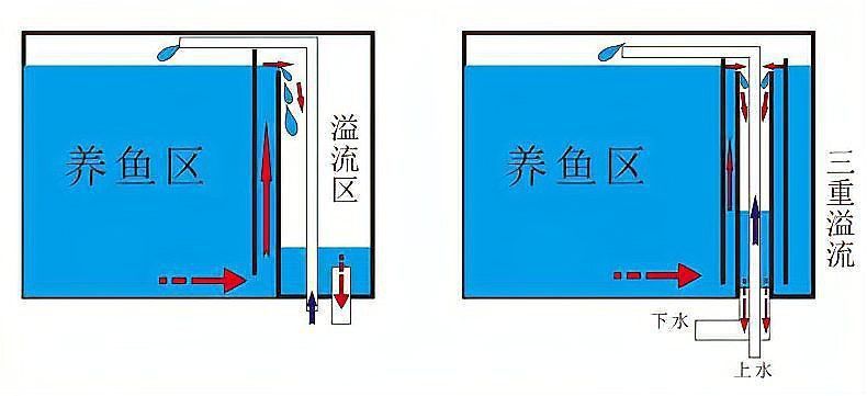 可麗愛魚缸底濾結構圖