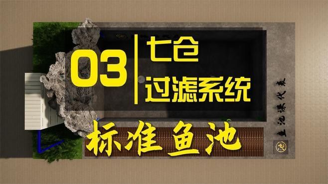 龍魚和錦鯉混養需要哪些設備？ 龍魚和錦鯉混養需要哪些設備？ 龍魚百科 第4張