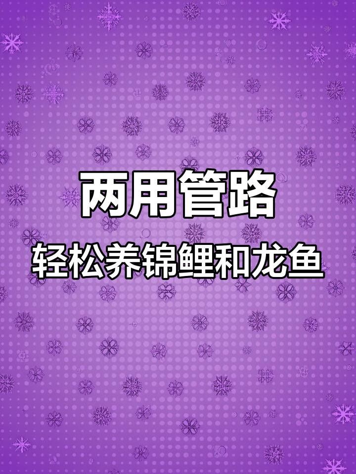 龍魚和錦鯉混養需要哪些設備？ 龍魚和錦鯉混養需要哪些設備？ 龍魚百科 第7張