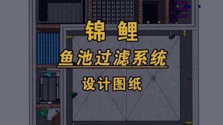 龍魚和錦鯉混養需要哪些設備？ 龍魚和錦鯉混養需要哪些設備？ 龍魚百科 第6張