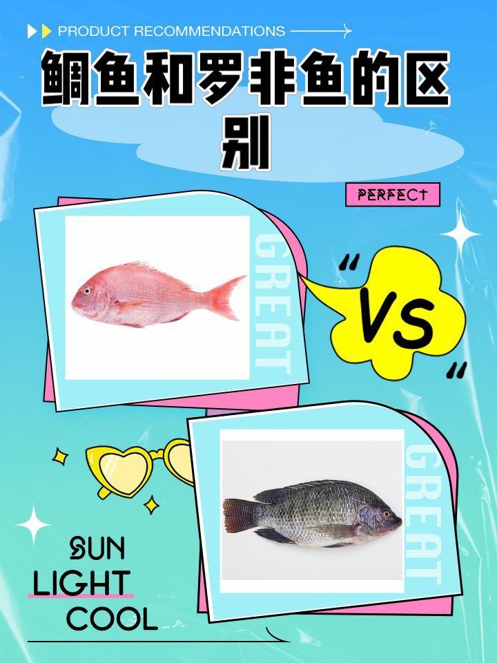 羅非魚為什么叫鯛魚