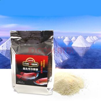 龍魚專用藥什么品牌好：選擇龍魚專用藥時(shí)的注意事項(xiàng)，龍魚專用藥時(shí)的注意事項(xiàng)