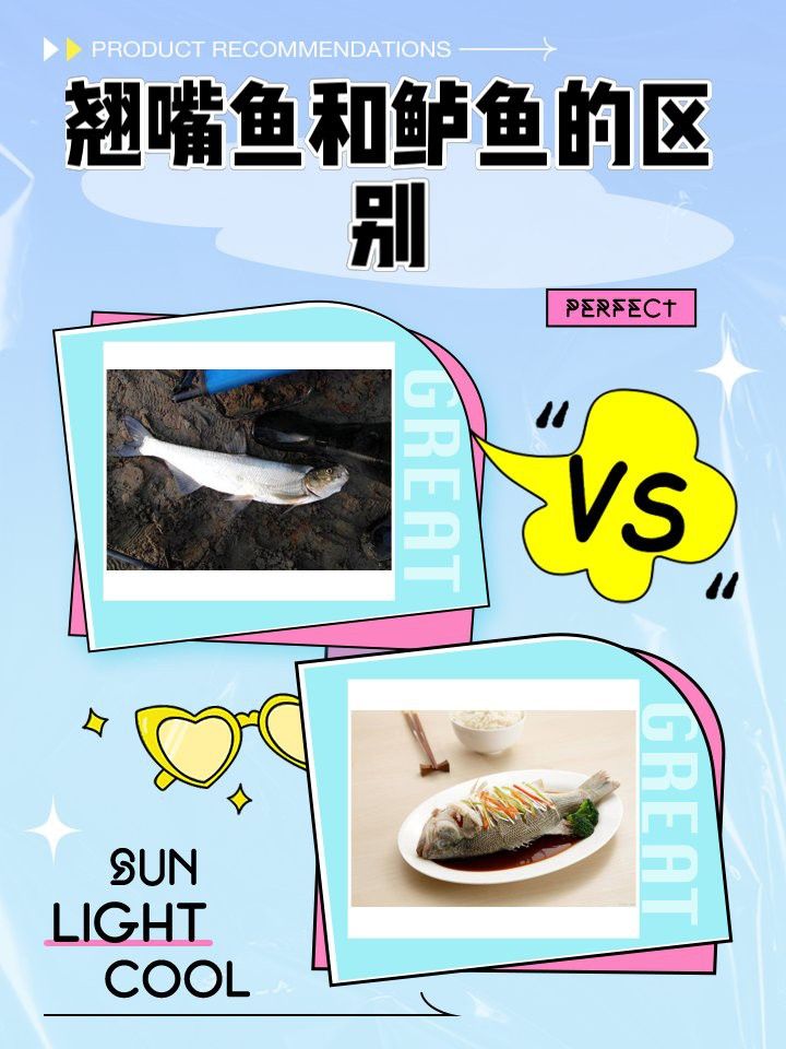 翹嘴魚和金龍魚的區(qū)別是什么