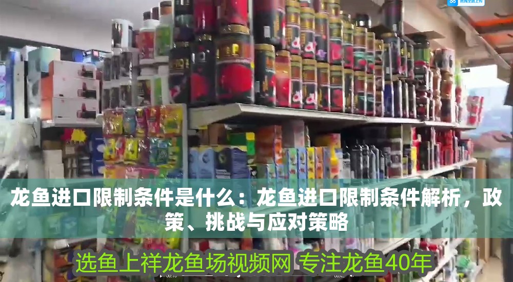龍魚進口限制條件是什么：龍魚進口限制條件解析，政策、挑戰與應對策略