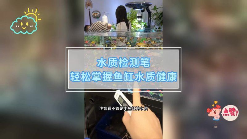 過背金龍魚苗養殖需要注意什么？