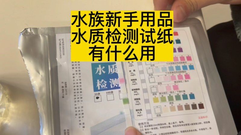 過背金龍魚苗養殖需要注意什么？