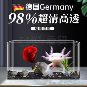 六角恐龍魚用什么魚缸好（六角恐龍魚適宜水溫范圍如何維護六角恐龍魚水質）