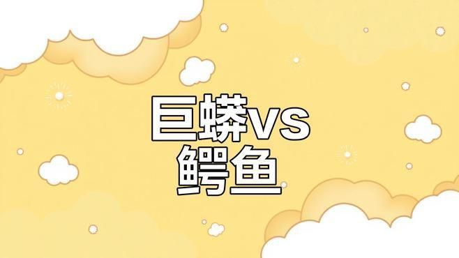 蟒蛇VS鱷魚