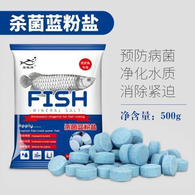龍魚抗菌藥：幾種常用的龍魚抗菌藥物及其使用注意事項