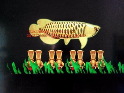 金龍魚馬蹄印是不是不好賣【金龍魚帶有馬蹄印的金龍魚價格會降嗎？】
