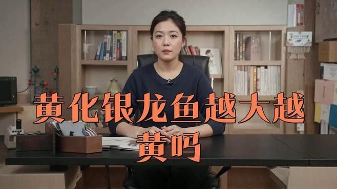 銀龍魚為什么叫銀龍魚呢圖片