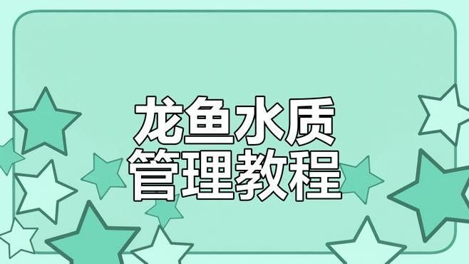 龍魚吐綠色絮狀物怎么辦