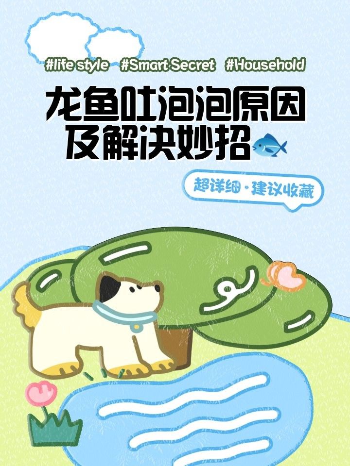 龍魚吐綠色絮狀物怎么辦