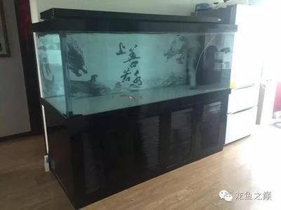 養龍魚的魚缸標準是什么意思：養龍魚的魚缸標準是什么意思養龍魚的魚缸標準是什么