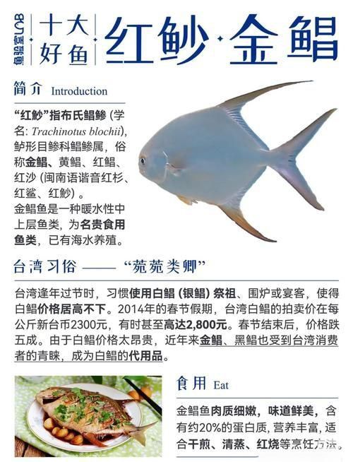 馬來西亞海魚的種類圖片