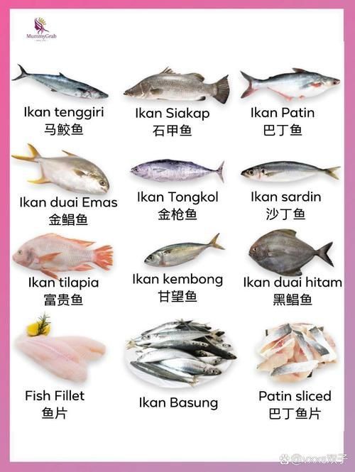 馬來西亞海魚的種類圖片