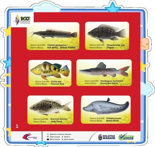 馬來西亞海魚的種類圖片