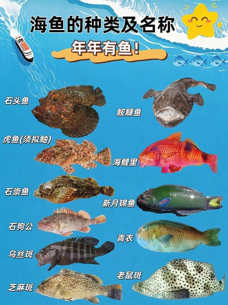馬來西亞海魚的種類圖片