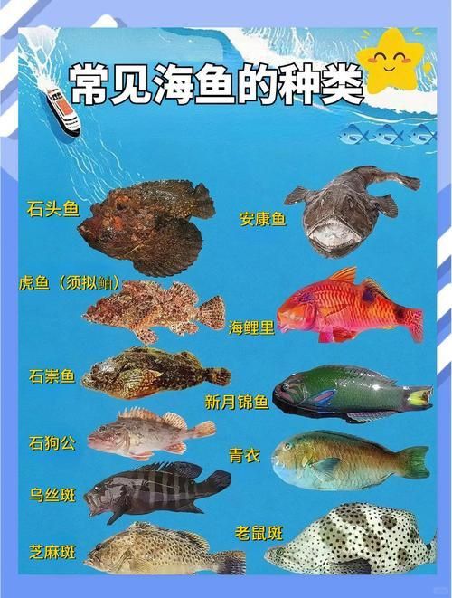 馬來西亞海魚的種類圖片