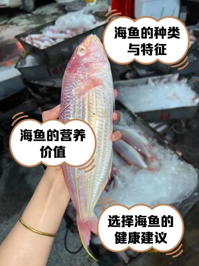 馬來西亞海魚的種類圖片