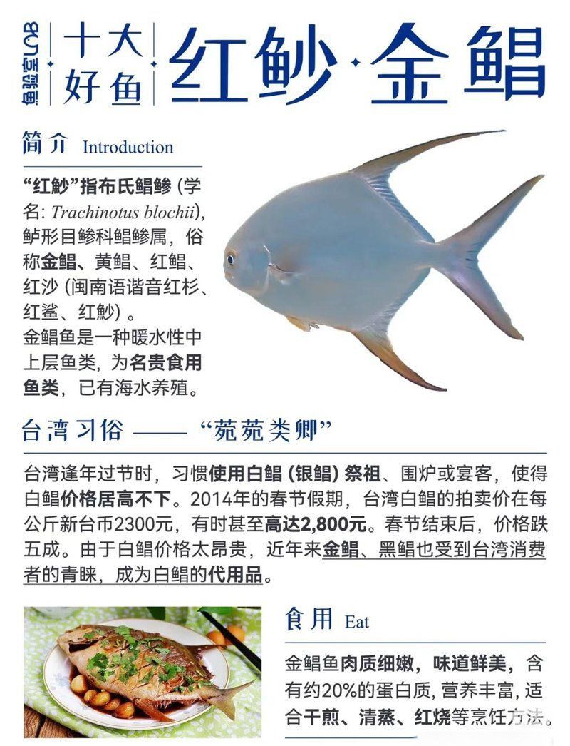 馬來西亞海魚的種類圖片
