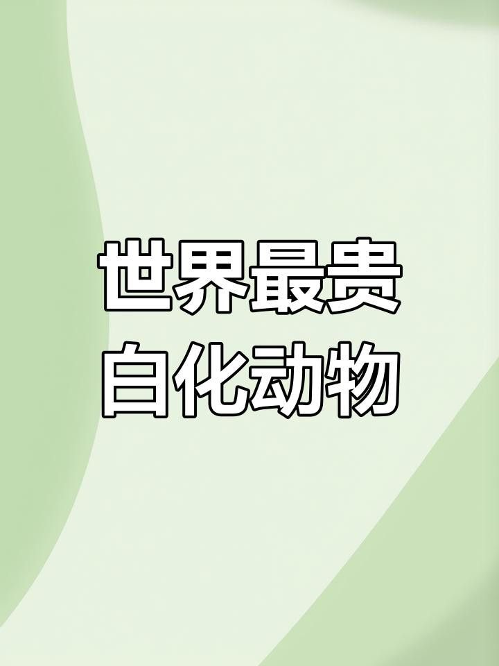 白化龍魚為什么能賣到200萬(wàn)？