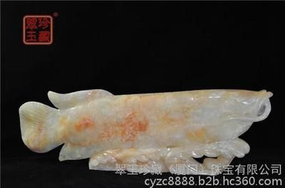 玉石金龍魚頭朝東北好不好（玉石金龍魚的魚頭朝東北不是理想的朝向需要注意的是）