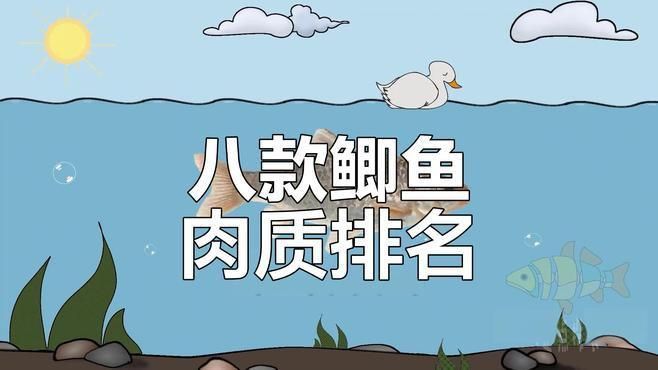 哪個鯽魚品種最好
