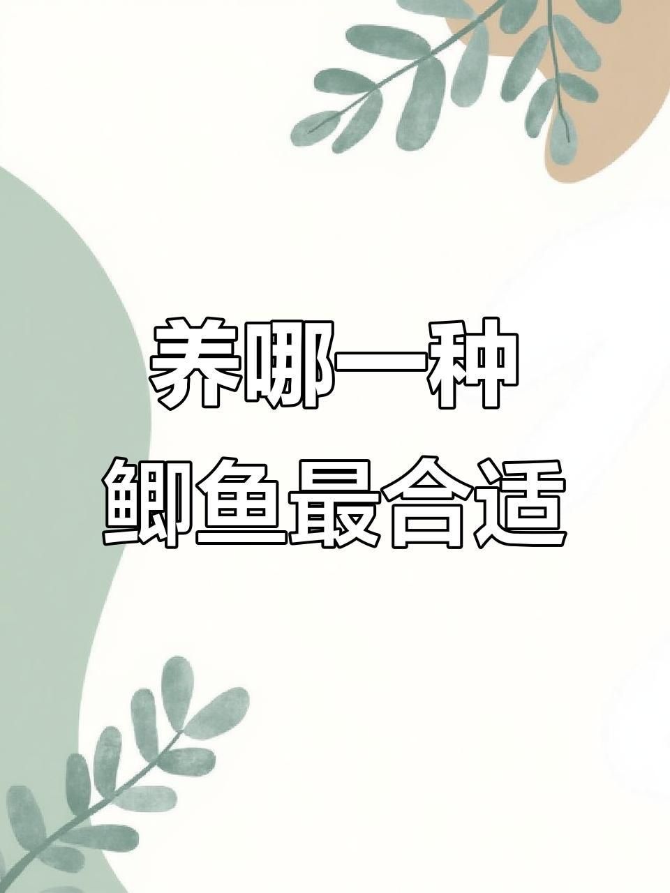 哪個鯽魚品種最好