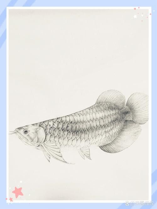 金龍魚的畫法簡筆畫