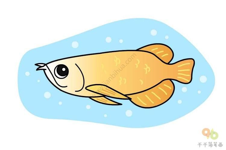 金龍魚的畫法簡筆畫