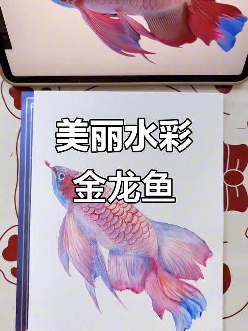 金龍魚的畫法簡筆畫