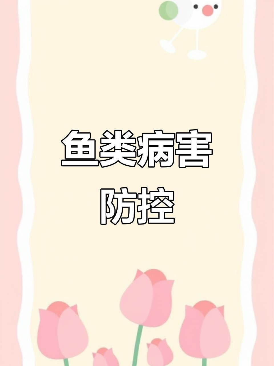 如何治療龍魚鰓蓋潰爛？