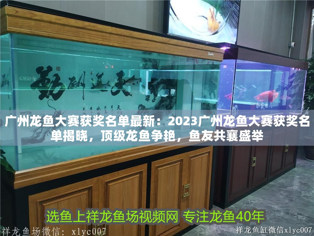 廣州龍魚大賽獲獎名單最新：2023廣州龍魚大賽獲獎名單揭曉，頂級龍魚爭艷，魚友共襄盛舉