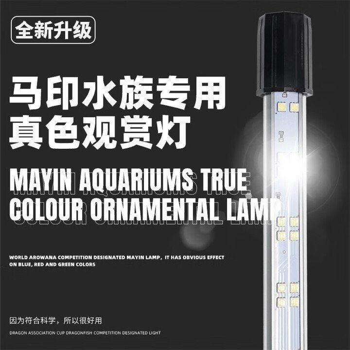 馬印神燈24小時人工服務