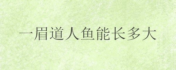 一眉道人魚苗飼料品牌推薦：一眉道人魚苗專用飼料品牌推薦：一眉道人魚苗飼料