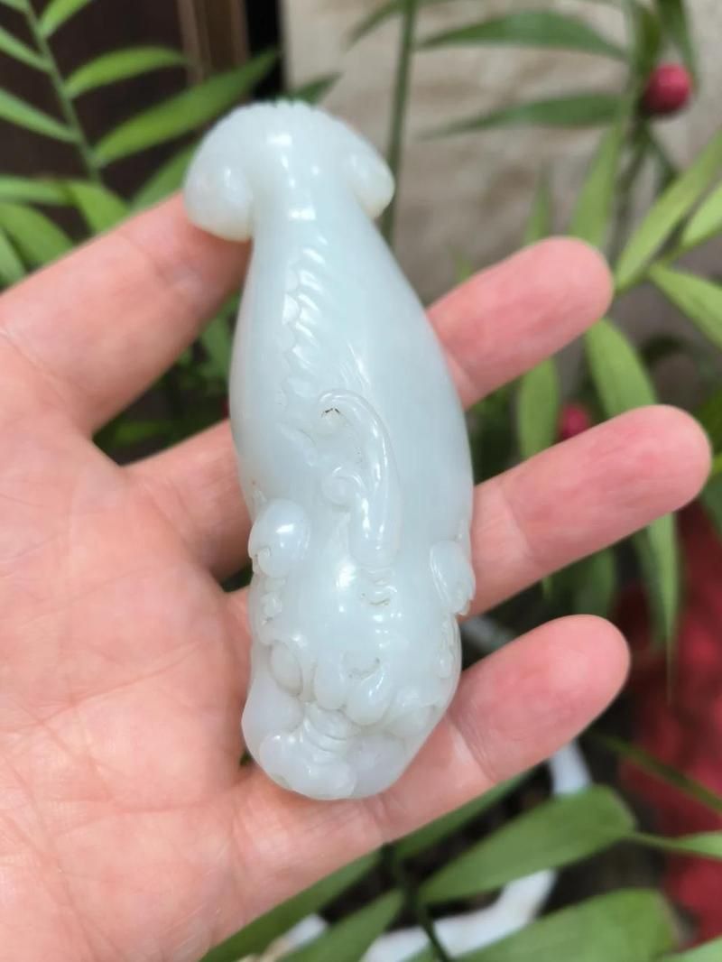 龍魚紋身寓意什么意思