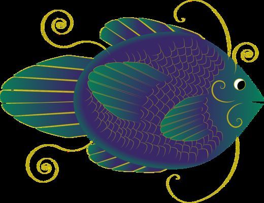 金龍魚太原經銷商（太原金龍魚太原經銷商評價）