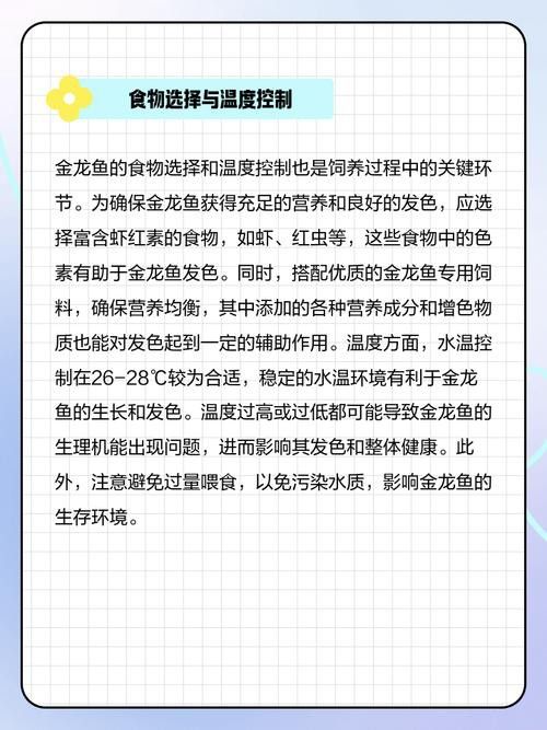 金龍魚(yú)這種魚(yú)好養(yǎng)嗎圖片